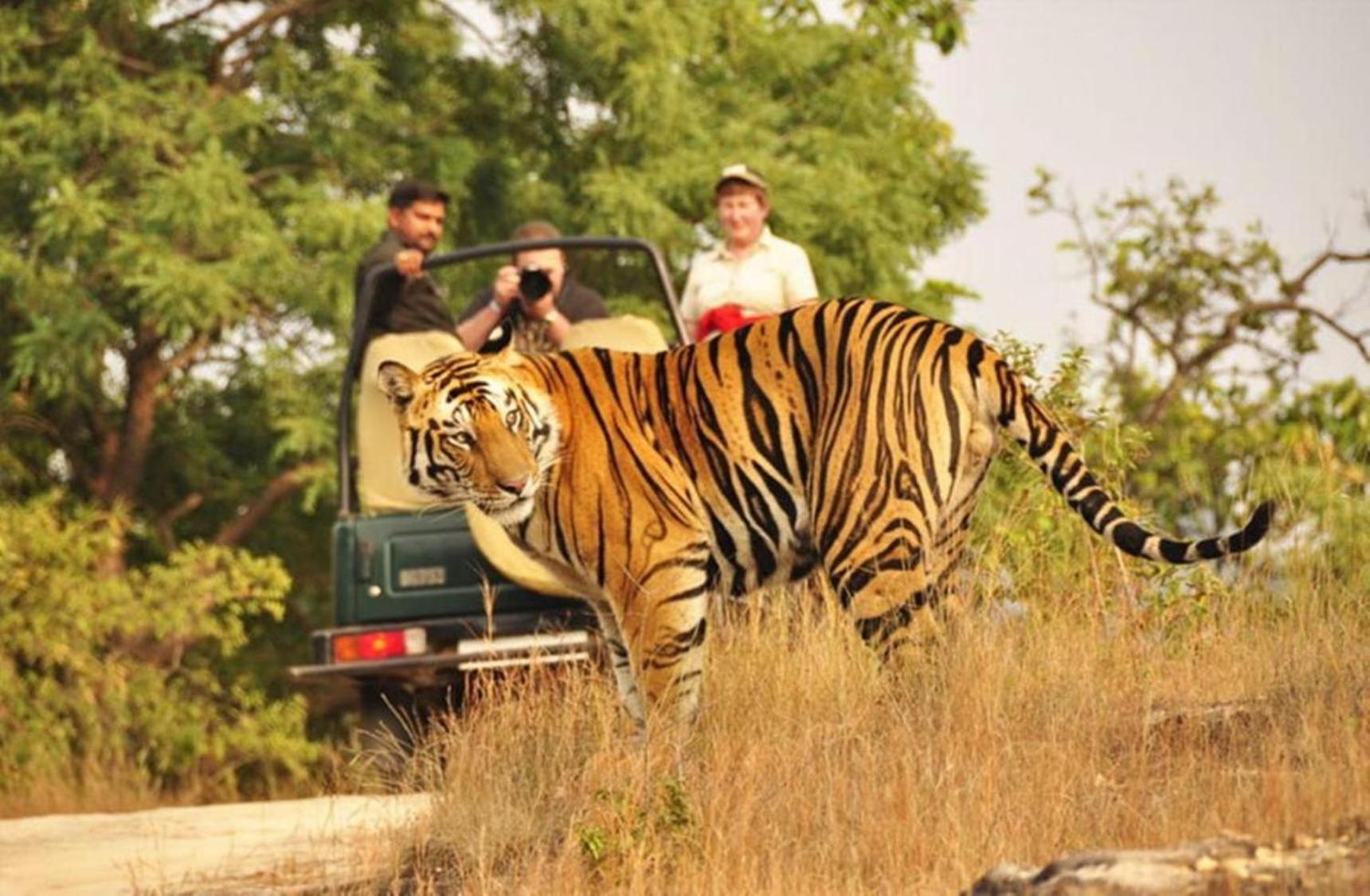 The Vanashrya Ranthambore Hotel Khilchīpur Екстериор снимка